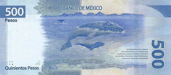 mxn_500_2017_o.jpg