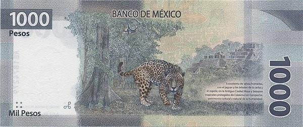 mxn_1000_2019_o.jpg